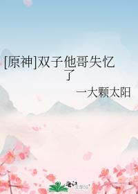 [ԭ��]˫������ʧ����