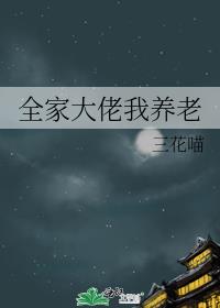 ȫ�Ҵ���������