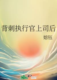 ����ִ�й���˾��