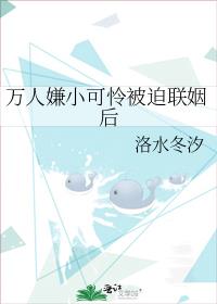 ������С��������������