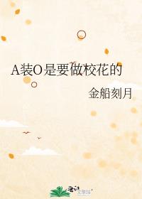 AװO��Ҫ��У����