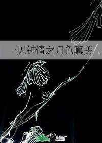 һ������֮��ɫ����